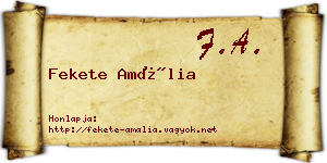 Fekete Amália névjegykártya