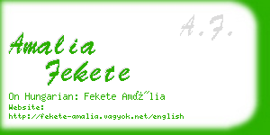 amalia fekete business card